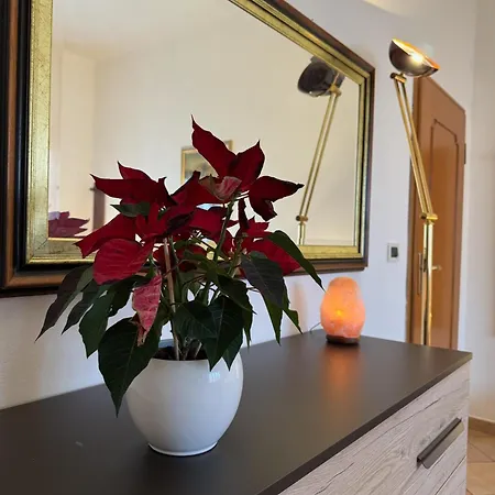 Fiera - Train Station - Free Parking Apartment